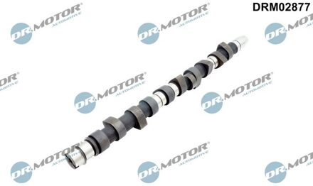 Audi Nokkenas DRM02877