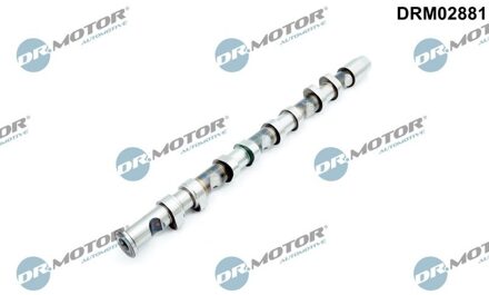 Audi Nokkenas DRM02881