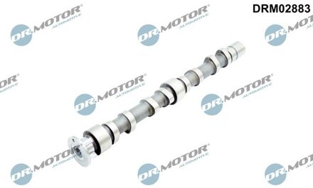 Audi Nokkenas DRM02883