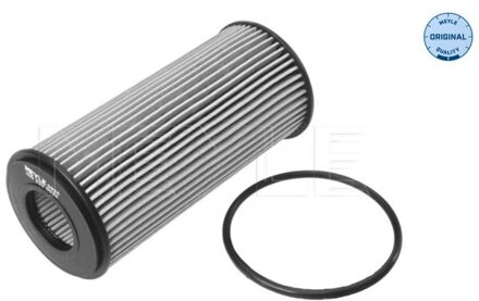 Audi Oliefilter 1003220022
