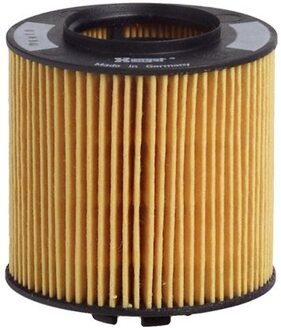 Audi Oliefilter E320H01D84