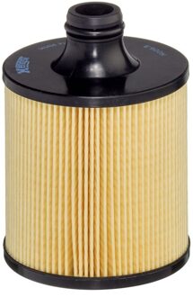 Audi Oliefilter E900HD431