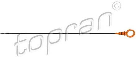 Audi Oliepeilstok 119661