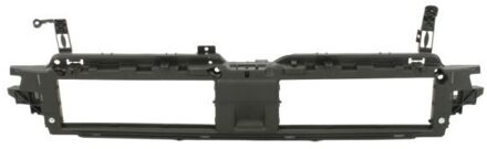 Audi Ondersteuning, radiateurgrille 6502070038995PP