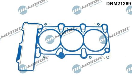 Audi Pakking, cilinderkop DRM21269