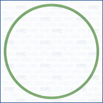 Audi Pakking, inlaatspruitstuk 24050000