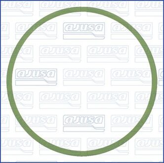 Audi Pakking, inlaatspruitstuk 24055200