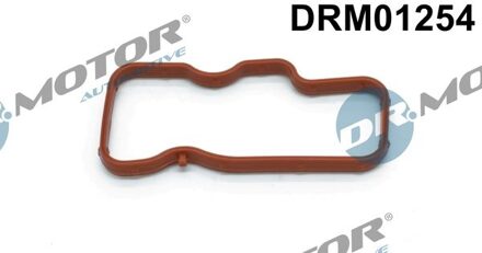 Audi Pakking, inlaatspruitstuk DRM01254