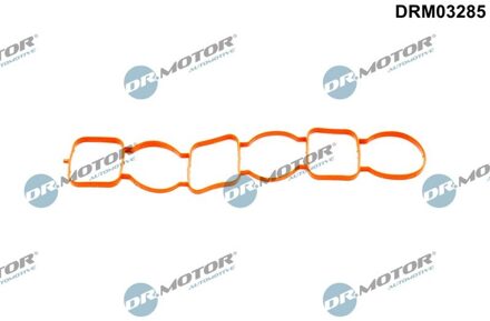 Audi Pakking, inlaatspruitstuk DRM03285