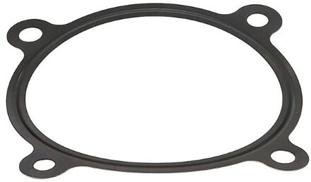 Audi Pakking, inlaatspruitstuk omkasting 744020