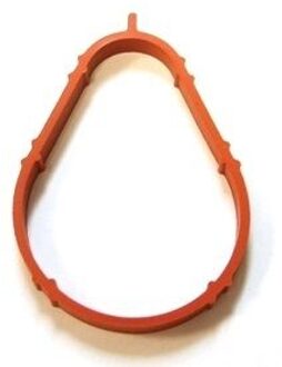 Audi Pakking, inlaatspruitstuk