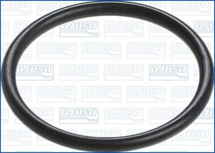 Audi Pakking, koelvloeistofpijpleiding 16073700