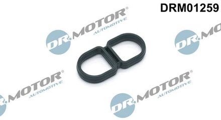 Audi Pakking, oliefilteromkasting DRM01259