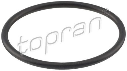 Audi Pakking, thermostaat 100618