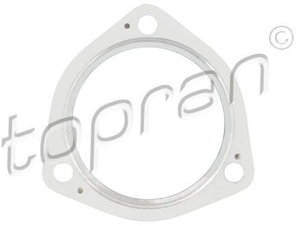 Audi Pakking, uitlaatpijp 107206