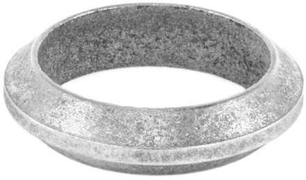 Audi Pakking, uitlaatpijp 82479