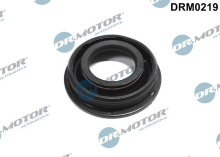Audi Pakking, Verstuiver/Injector DRM0219