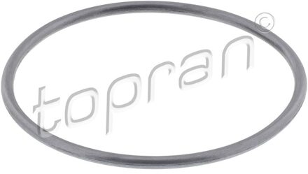 Audi Pakking, waterpomp 100572