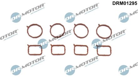 Audi Pakkingset, inlaatspruitstuk DRM01295