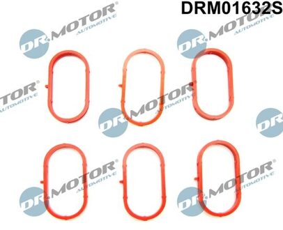 Audi Pakkingset, inlaatspruitstuk DRM01632S