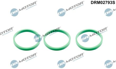 Audi Pakkingset, inlaatspruitstuk DRM02793S