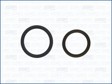 Audi Pakkingset, turbolader 77009100