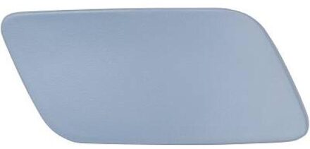 Audi Plaat, bumper 1033365