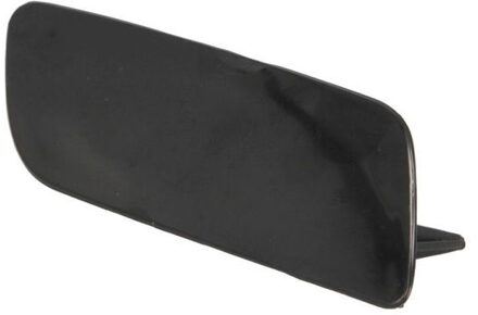 Audi Plaat, bumper 5513000031924P