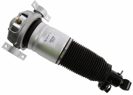 Audi Pneumatische veerpoot 319410