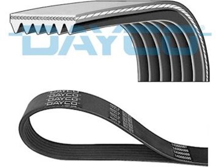 Audi Poly V-riem 6PK922H