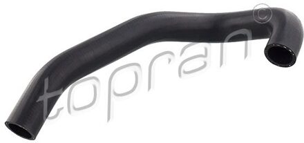 Audi Radiateurslang 104131