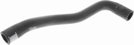 Audi Radiateurslang V104985