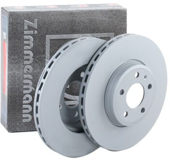 Audi Remschijf Coat Z 100333020