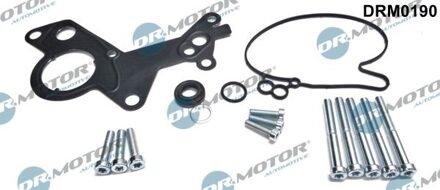 Audi Reparatieset, onderdrukpomp (remsysteem) DRM0190