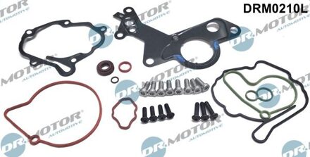 Audi Reparatieset, onderdrukpomp (remsysteem) DRM0210L
