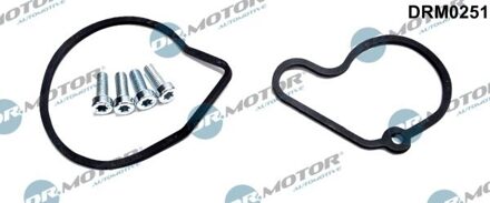 Audi Reparatieset, onderdrukpomp (remsysteem) DRM0251