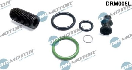 Audi Reparatieset, pomp-verstuiver-eenheid DRM005L
