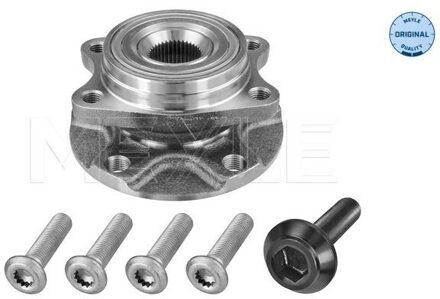 Audi Reparatieset, wielnaaf 1006530033