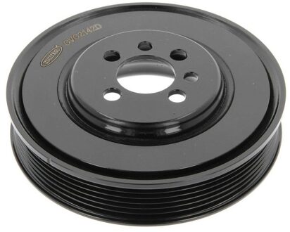 Audi Riemschijf, krukas 80001118