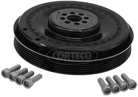 Audi Riemschijvenset, krukas 49107564