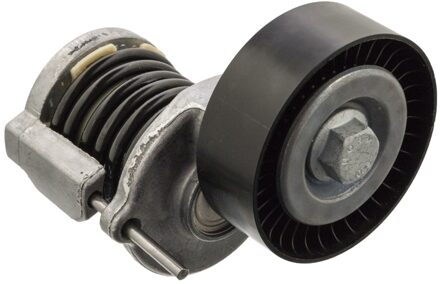 Audi Riemspanner 102297