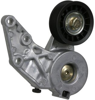 Audi Riemspanner 22365