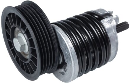 Audi Riemspanner 23758