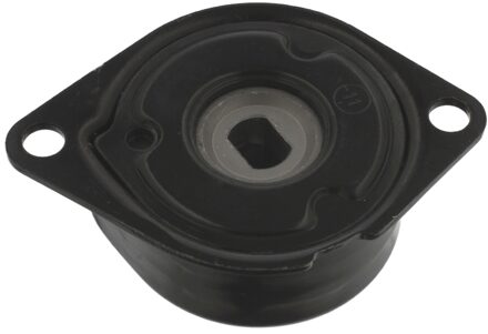 Audi Riemspanner 26925