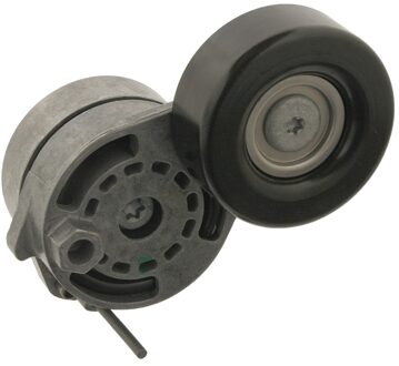 Audi Riemspanner 30222