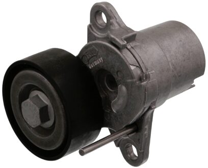 Audi Riemspanner 47605