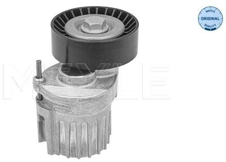 Audi Riemspanner, Poly V-riem 1009031101