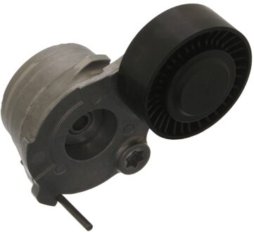 Audi Riemspanner, poly V-riem 43750