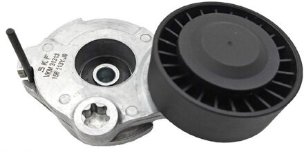 Audi Riemspanner, Poly V-riem VKM31313