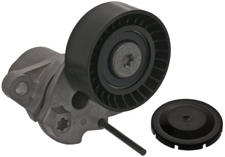 Audi riemspanner voor multi-V-riem 100740